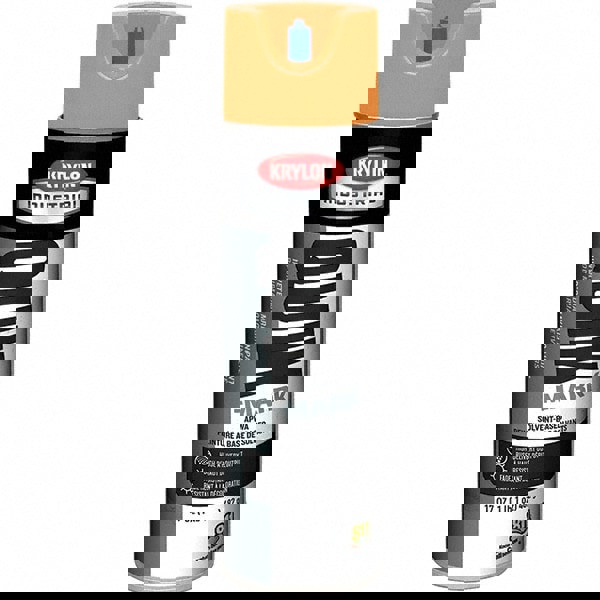 17 fl oz Orange Marking Paint